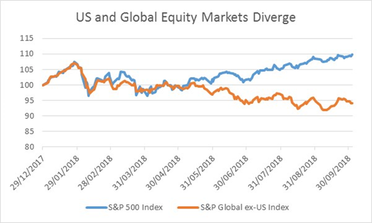 US and Global Equity Markets Diverge | Investment Management